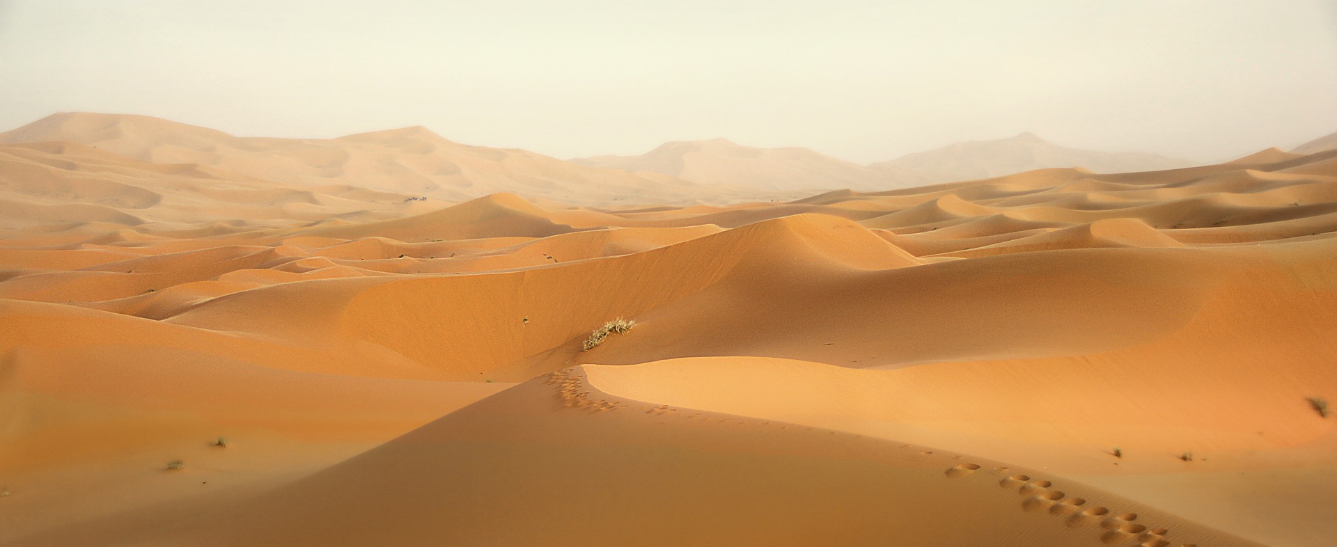 Western Sahara Research Group